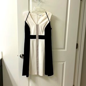Calvin Klein Women’s Size 12 Dress
